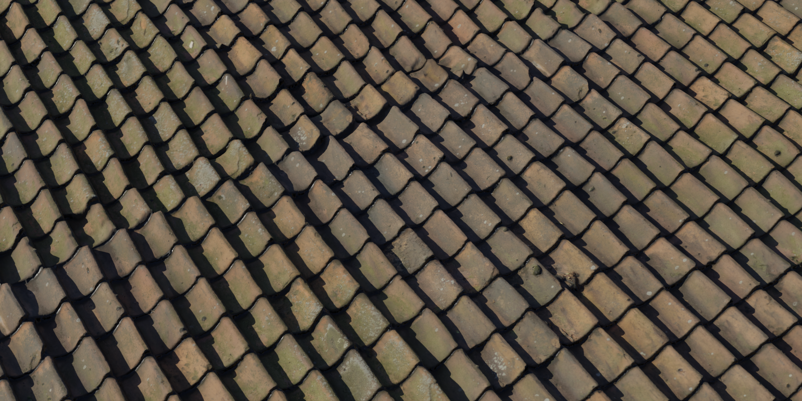 Roof Tiles 14