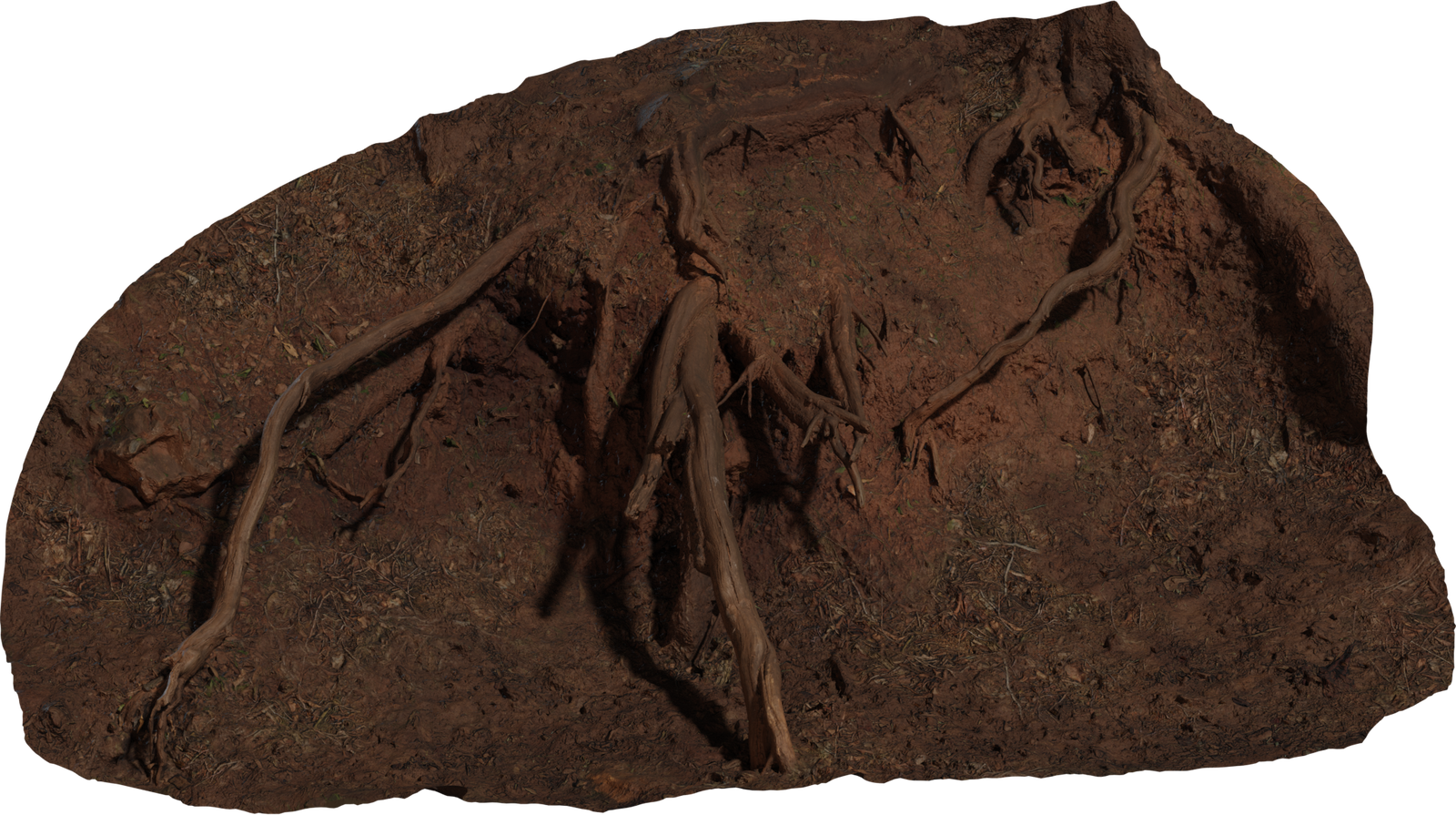 Root Cluster 01
