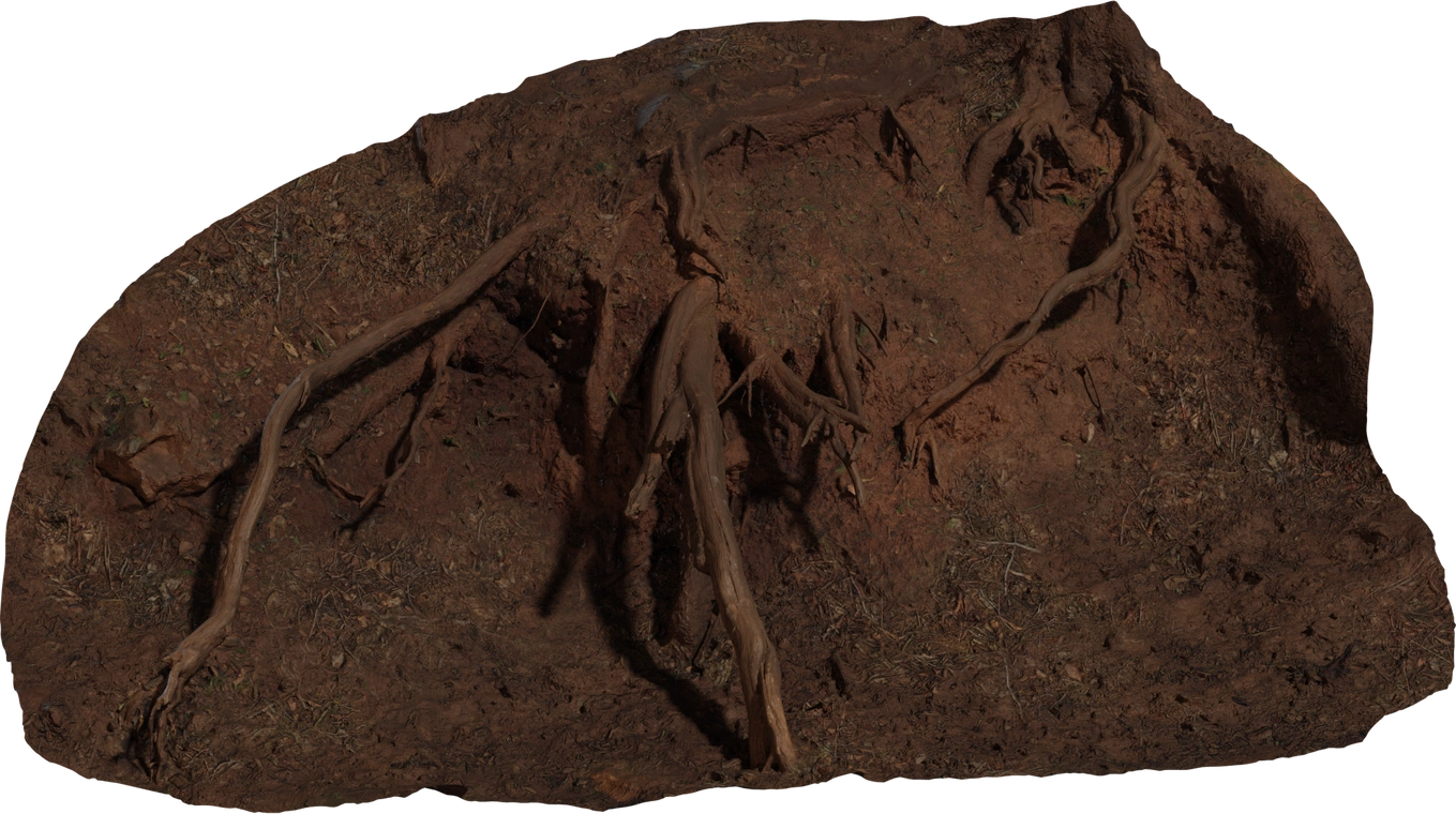 Free 8K root cluster model with high-detail bark, tangled roots and forest-floor foliage; natural, layered ground cover ideal for realistic woodland environments.