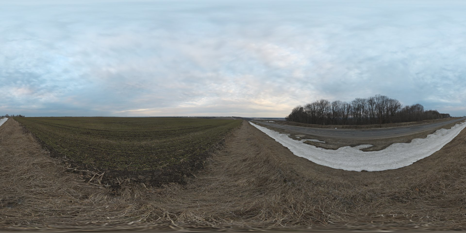 Rural Winter Roadside