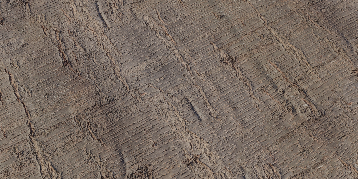 Free 8K texture: Sakura bark - rough, layered cherry trunk surface with horizontal striations, flaky ridges and matte earthy brown tones.