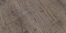 Sakura Bark - Preview
