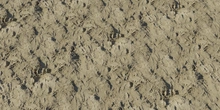 Sand 01 - Preview