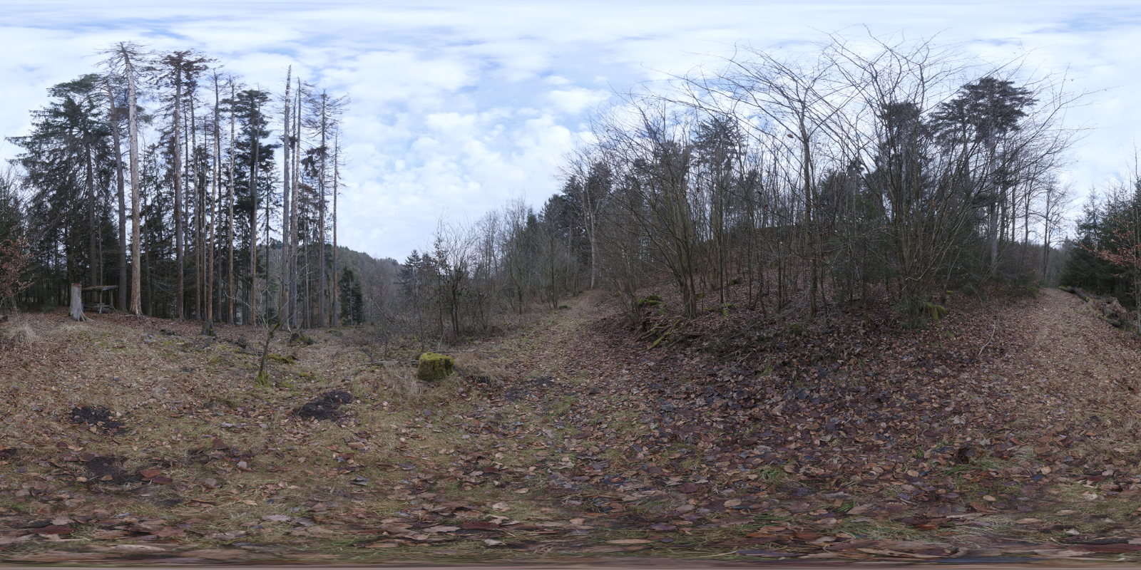 HDRI – Schachen Forest – overcast - thumbnail 1