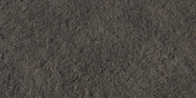 Seaside Rock - Preview