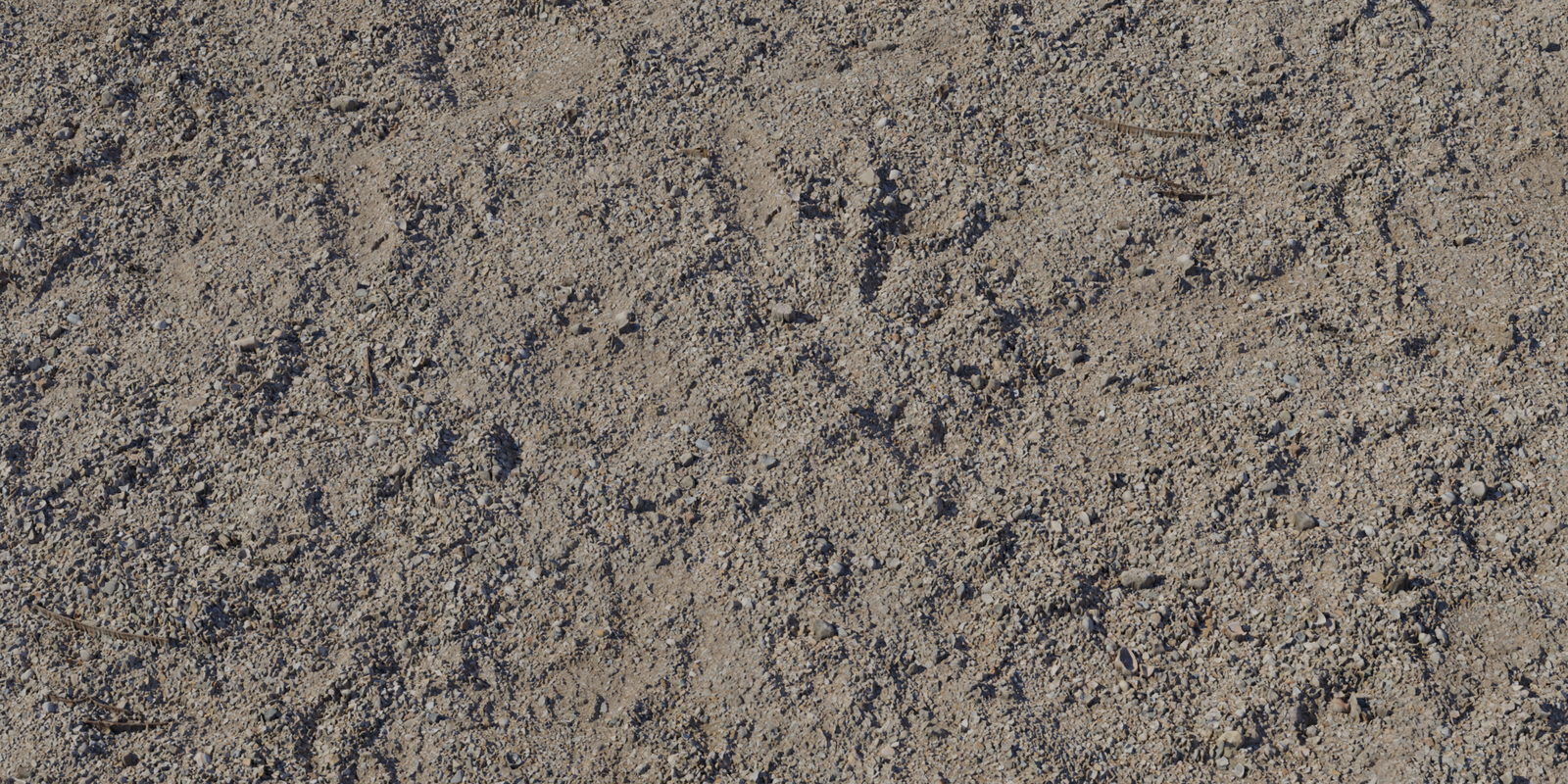 Shell Floor 01