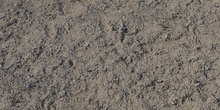 Shell Floor 01 - Preview
