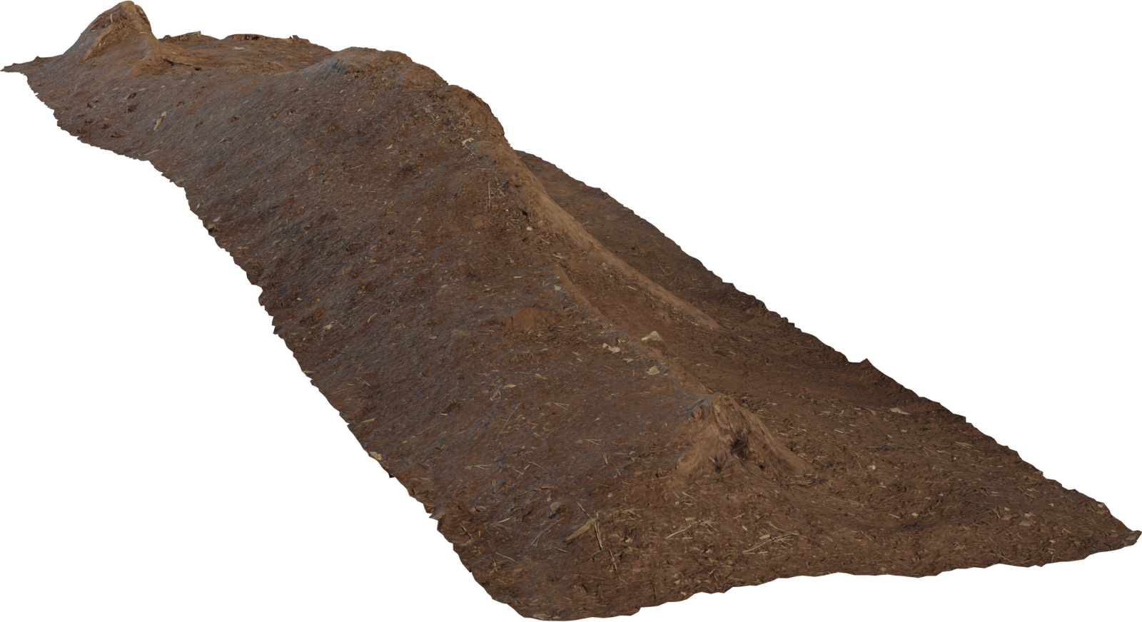 Single Root