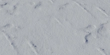 Snow 02 - Preview