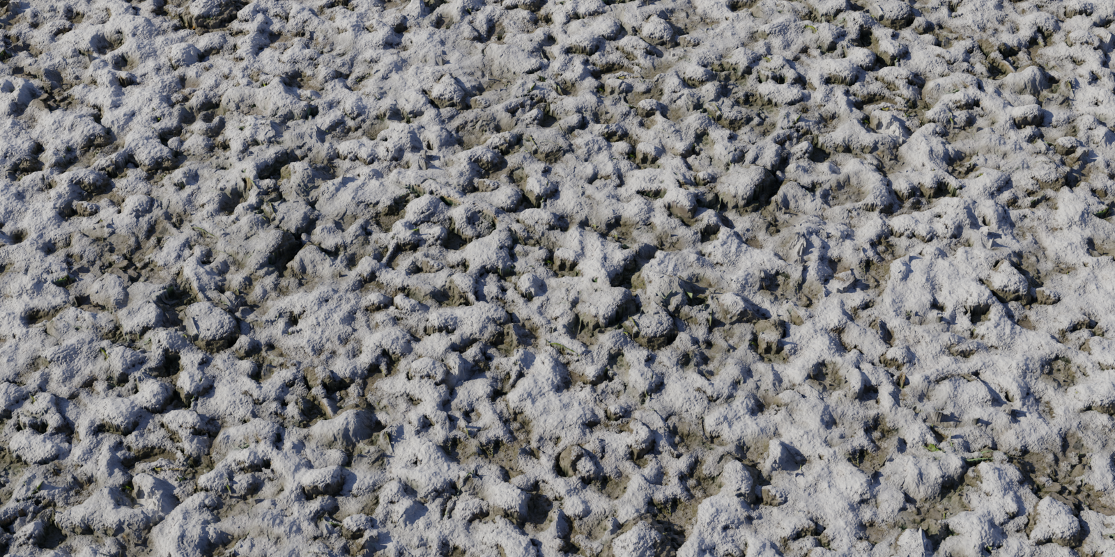 Snow 03