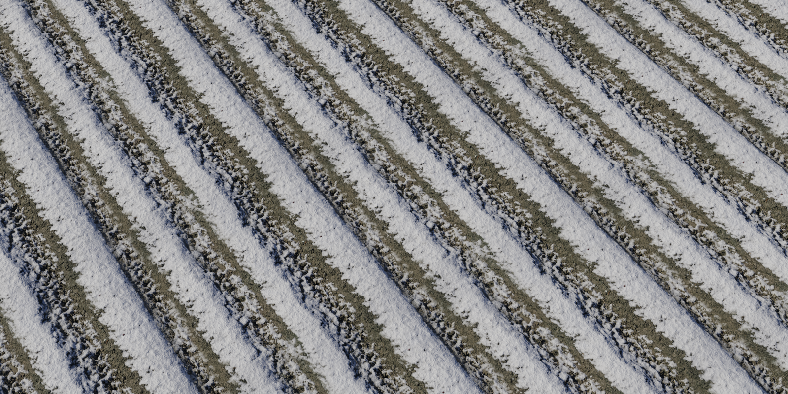 Snow 04