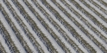 Snow 04 - Preview