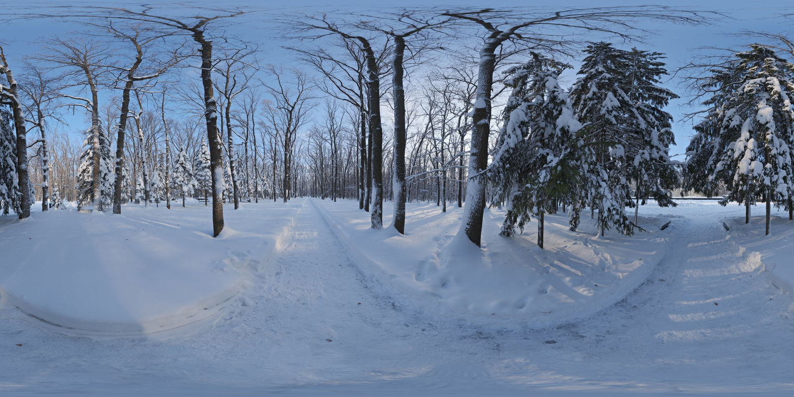 Snowy Forest Path 01