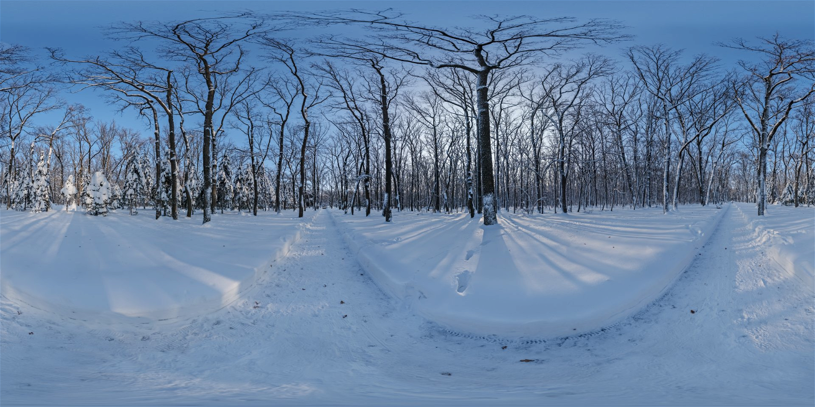 HDRI – Snowy Forest Path 02 – nature - thumbnail 1