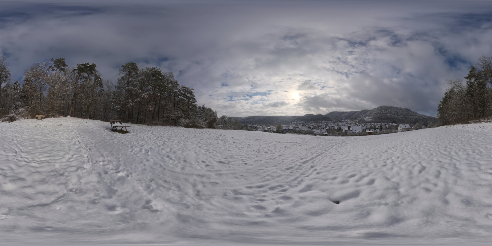 Snowy Hillside