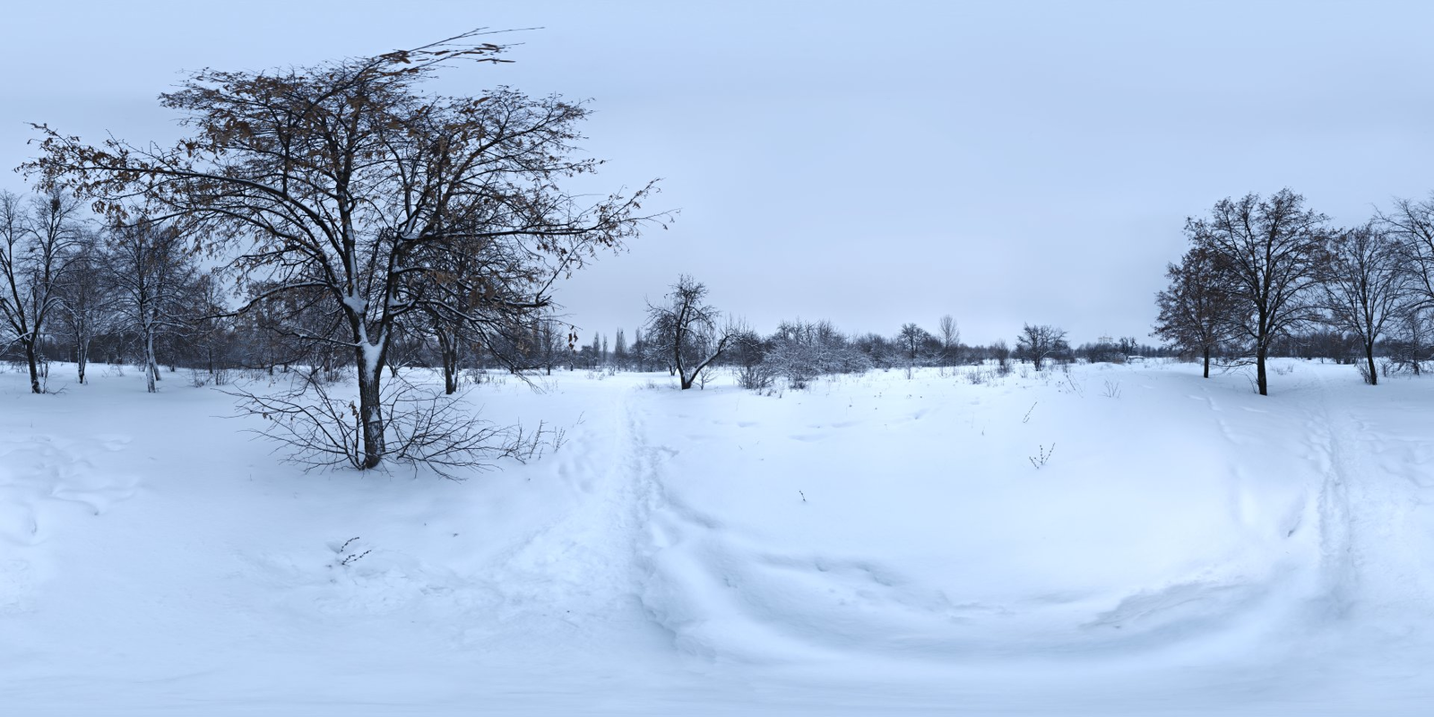 Snowy Park 01