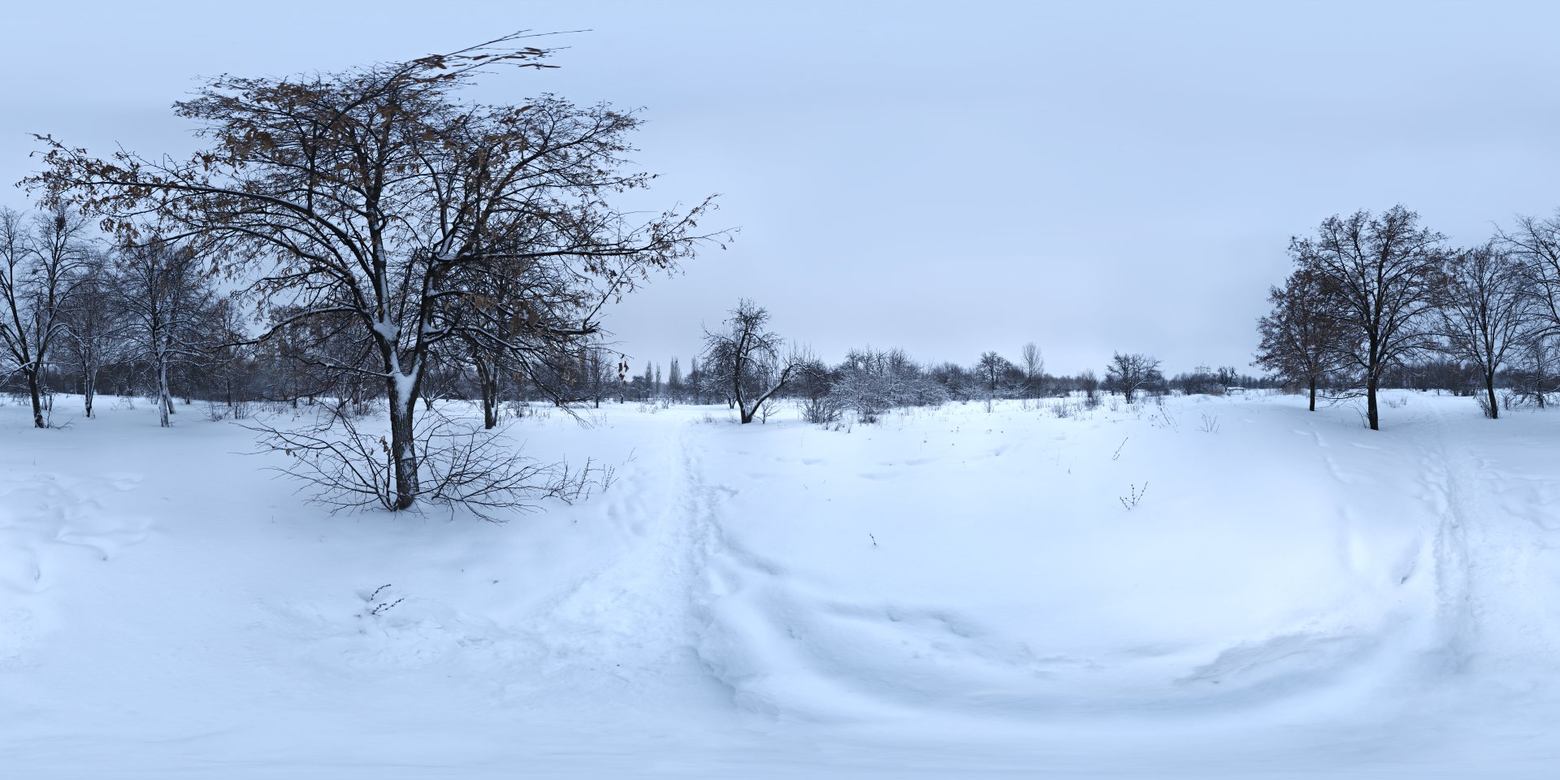 Snowy Park 01 HDRI • Poly Haven