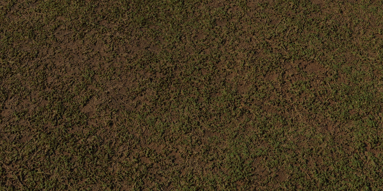 Free 8K texture of sparse grass: thin green tufts and visible roots over rough, damp soil, with subtle height detail and organic, earthy brown-green tones.