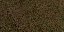 Sparse Grass - Preview