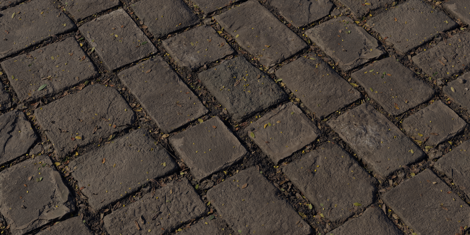 Stone Pathway 02