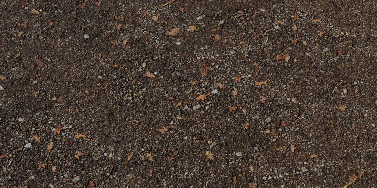 Free 8K texture of a stony dirt path: compacted brown soil with scattered pebbles, small rocks, autumn leaf litter and twigs, coarse rough surface.