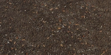 Stony Dirt Path - Preview