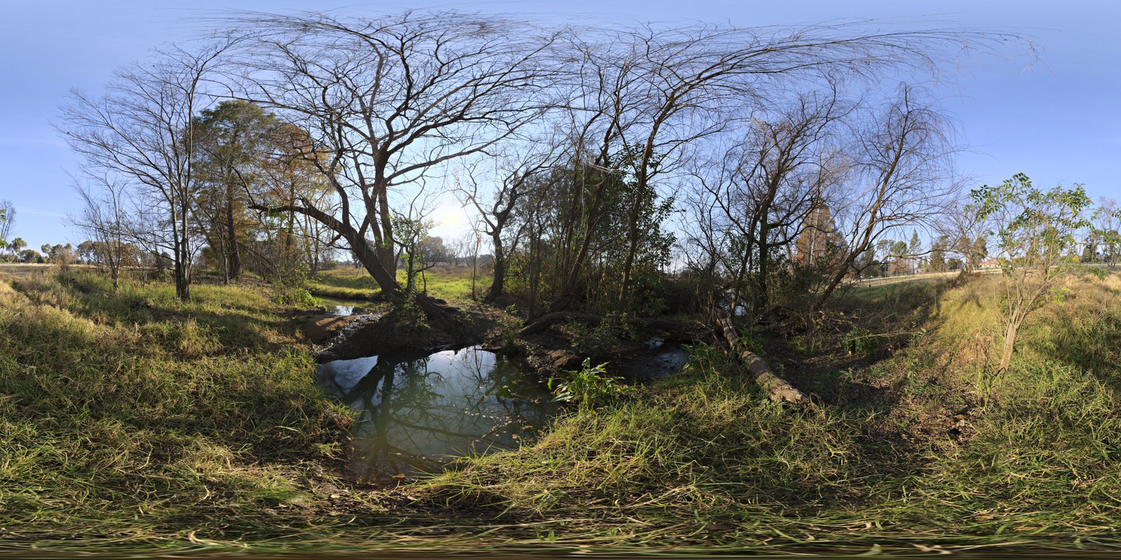 Stream