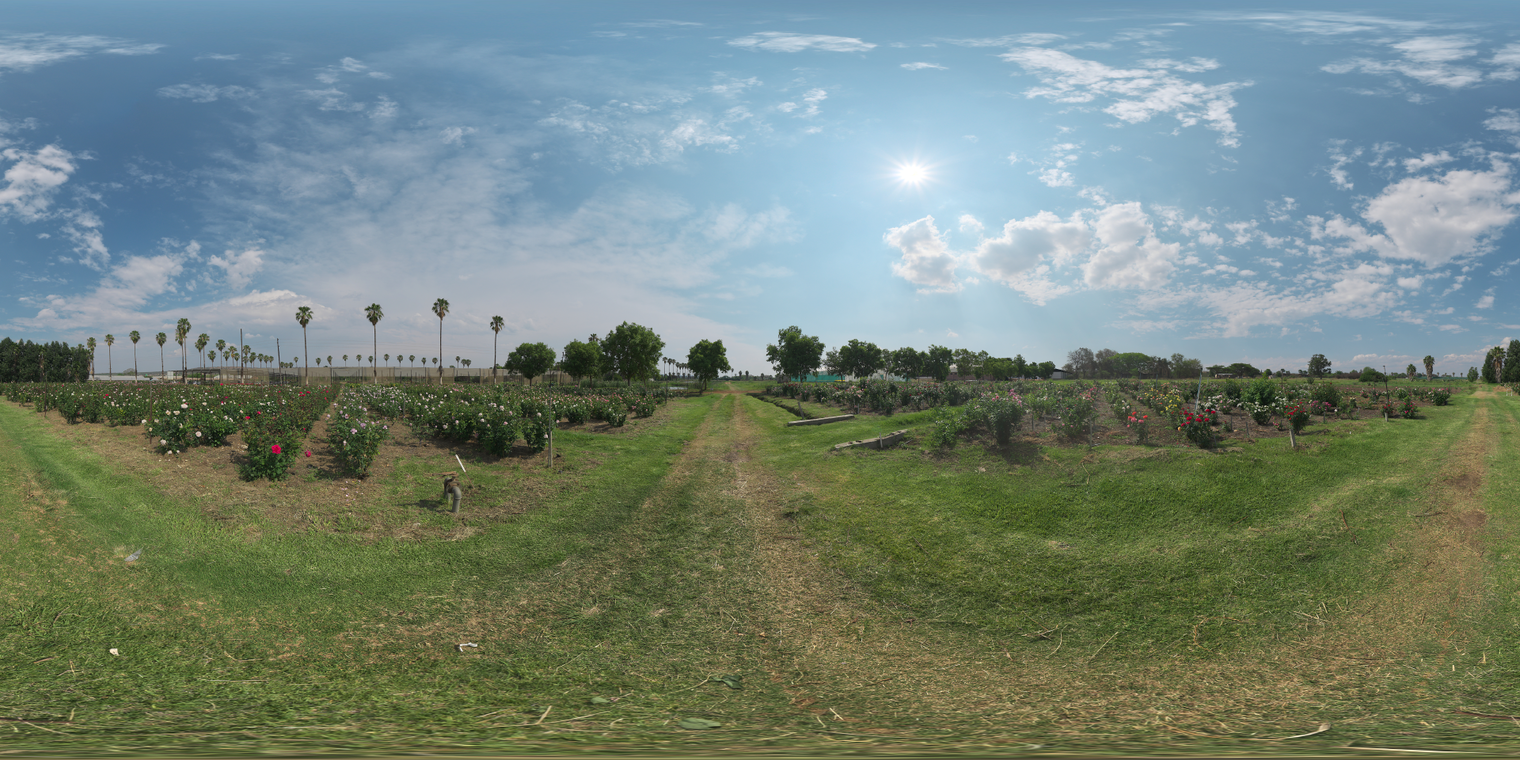 Free 20k HDRI, unclipped, bright midday sun with scattered clouds, high-contrast warm sunlight and crisp shadows over rose bushes, grassy paths, distant palms.