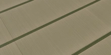 Tatami Mat - Preview