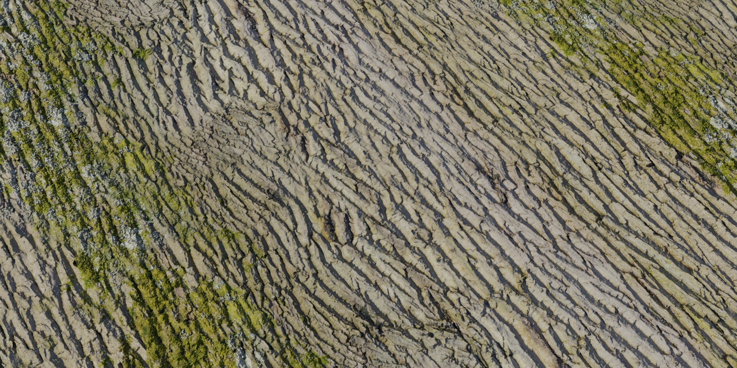 Free 8K texture of old tree bark with deep vertical fissures, rough coarse surface, earthy brown-gray tones and scattered green moss patches.