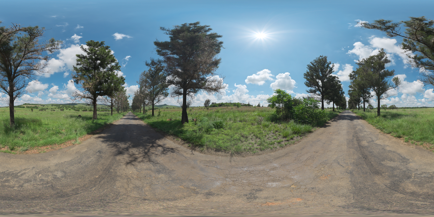 Free unclipped 20k HDRI: bright sunlit tree-lined driveway with clear blue sky, scattered cumulus clouds, strong midday sunlight and crisp shadows.