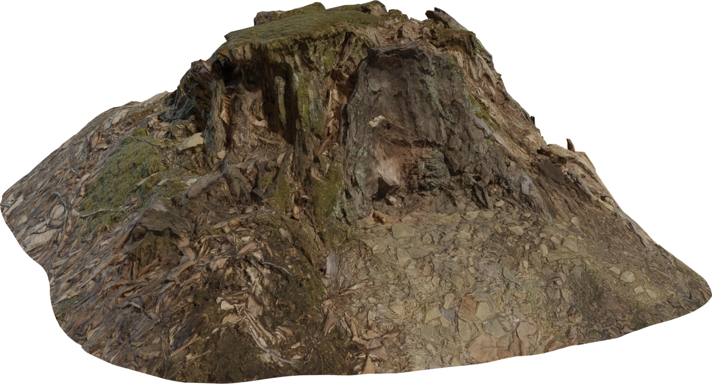 Free 8K model of a decayed tree stump with exposed roots, rough bark, moss patches and leaf-littered forest floor detail.