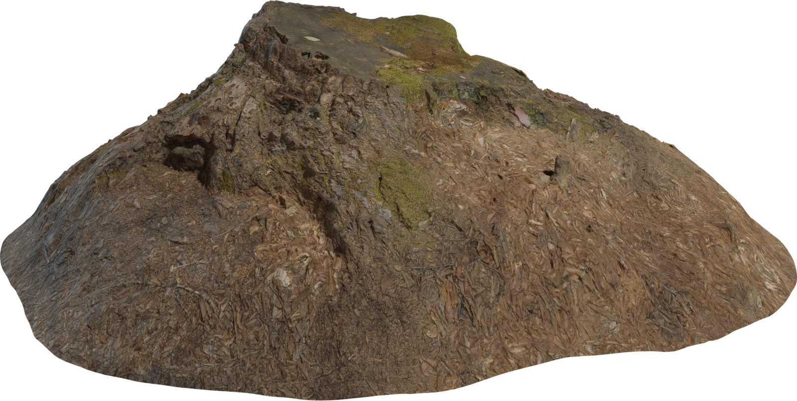 Tree Stump 02