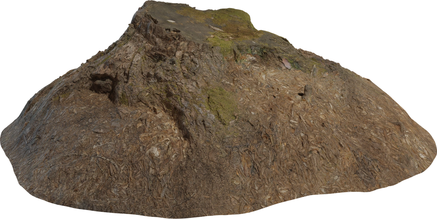 Free 8K model of a decayed, mossy tree stump with rough bark, exposed roots and leaf-littered forest floor - detailed, dry textures and natural irregular shape.