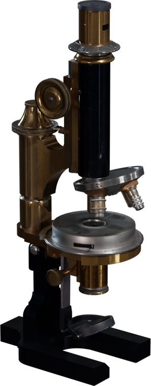 Free 8K model of a vintage brass microscope with black enamel body, knurled focus wheels, rotating dual objectives, engraved metal stage, and a cast base.