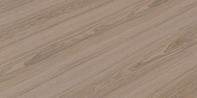Walnut Veneer 02 - Preview