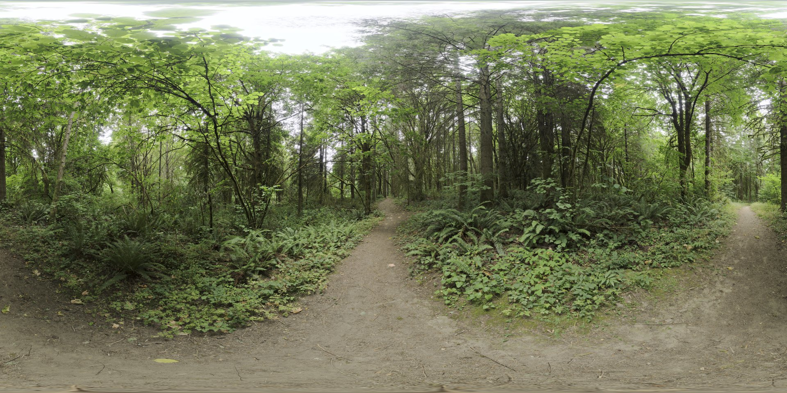 Whipple Creek Regional Park 04