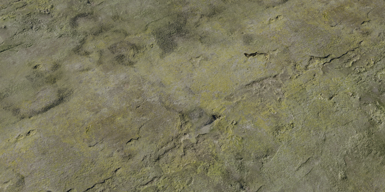 White Plaster Rough 02