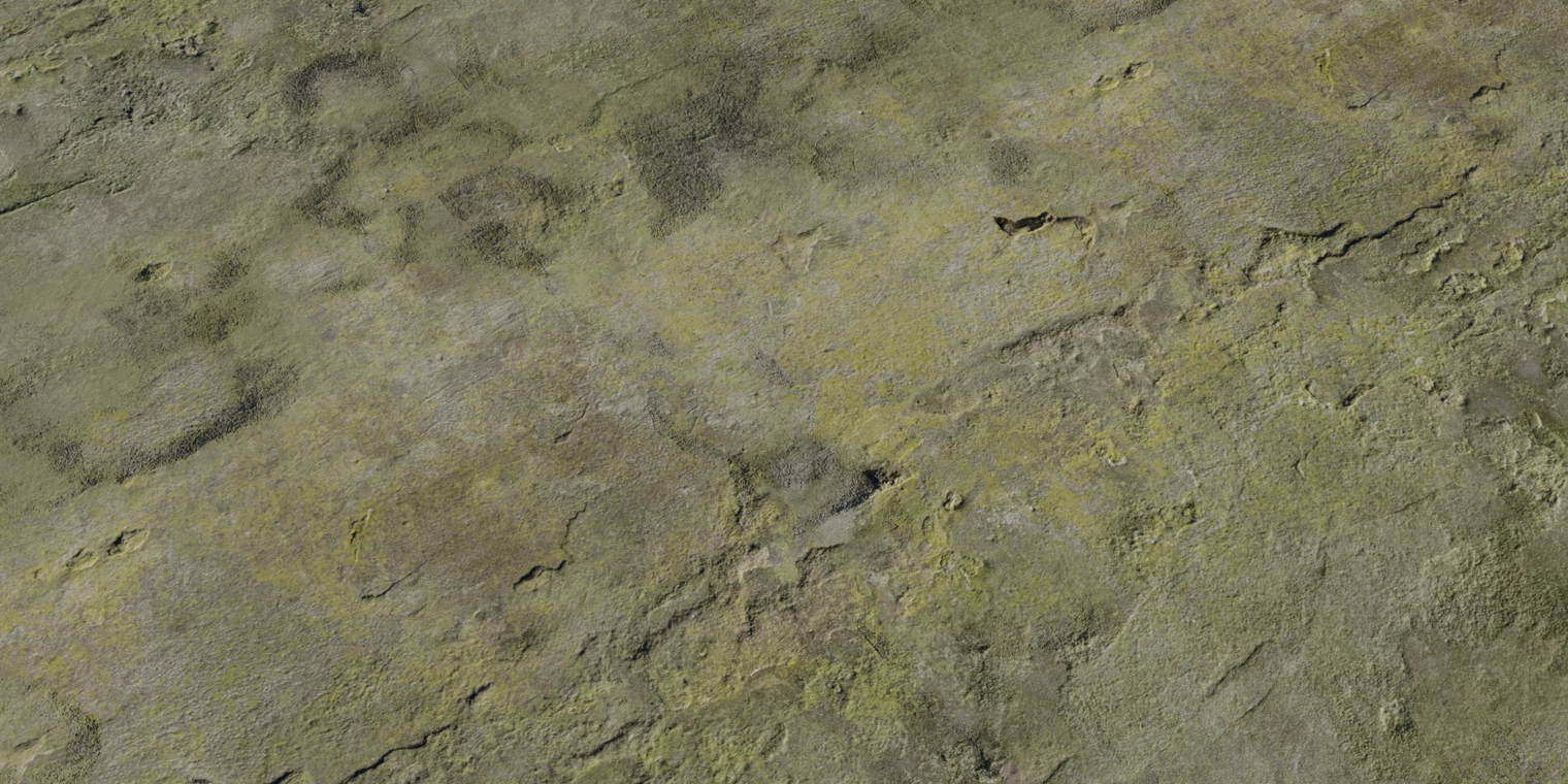 Free 8K texture of weathered white plaster showing rough, cracked, uneven cement with chipped areas, moss staining and gritty dirt.