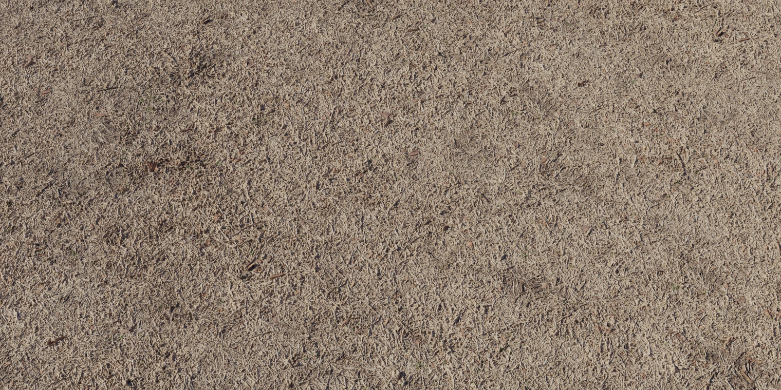Free 8K texture of withered grass: brittle, fibrous, sun-bleached blades in muted brown and tan with scattered debris and compacted earth tones.