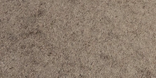 Withered Grass - Preview