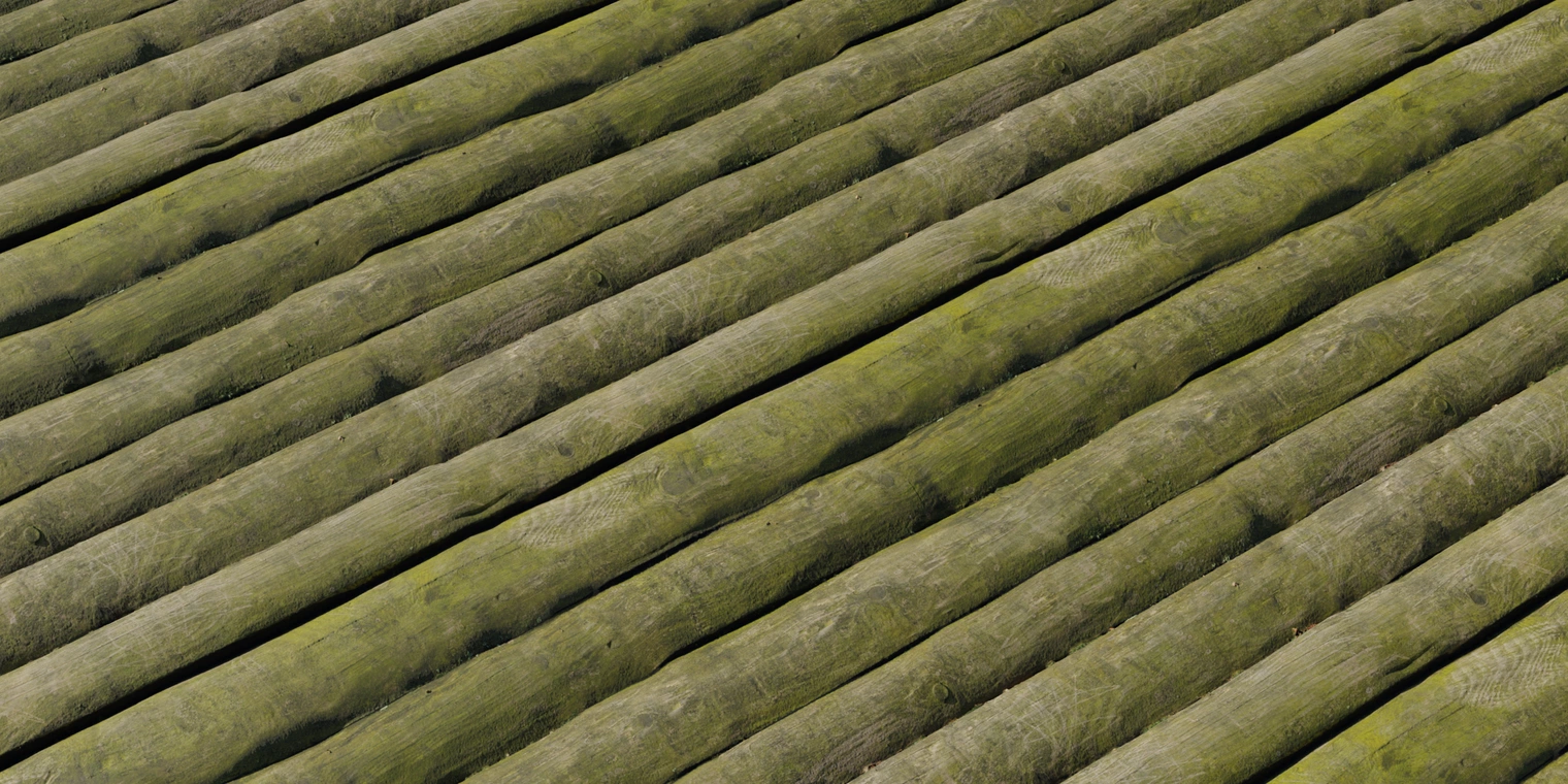 Free 8K texture of rough, moss-covered round wooden planks: weathered, uneven surface with scratches, grain, and a damp green patina.