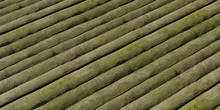 Wooden Rough Planks - Preview