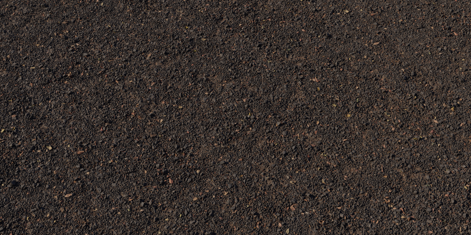Free 16K worn asphalt texture: coarse, gritty, gravelly surface with cracks, leaf litter, twigs and petals - great for outdoor roads, driveways and ground props.