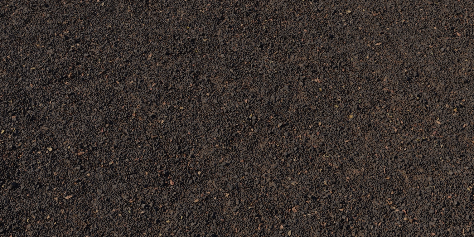 Free 16K worn asphalt texture: coarse, gritty, gravelly surface with cracks, leaf litter, twigs and petals - great for outdoor roads, driveways and ground props.
