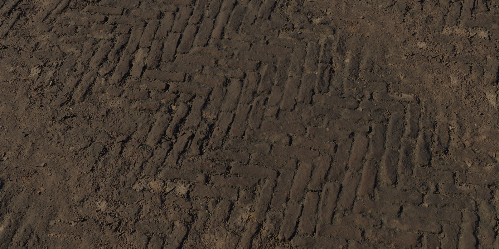Worn Brick Path
