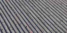 Worn Corrugated Iron - Preview
