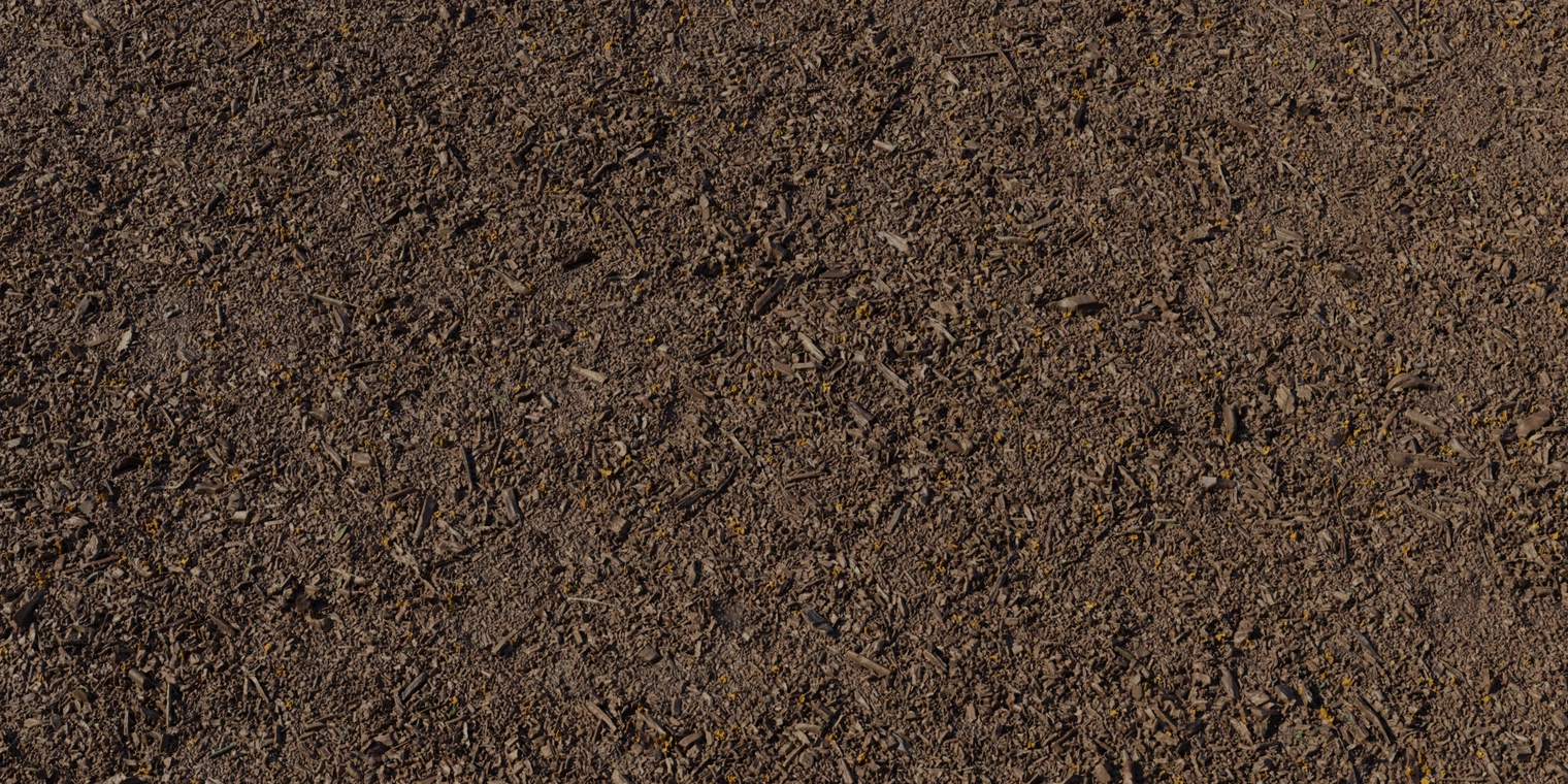 Free 8K texture of dark brown mulch with scattered yellow flower petals, bark chips and leaf litter; coarse, uneven, slightly damp surface.