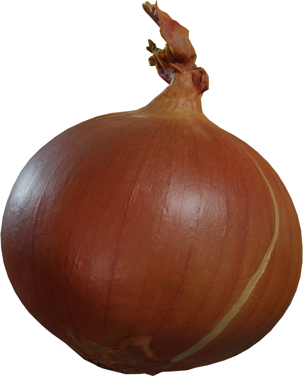 Yellow Onion
