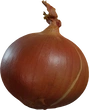 Yellow Onion - Preview